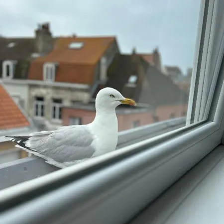 Appartement Expérience Malouine - Appt T3-coeur De Malo-plage Dunkirk